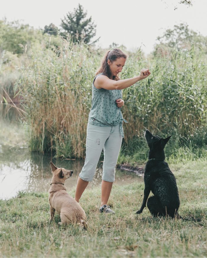 dog training working with two dogs from Cherry Hill’s Go-To Dog Walkers & Pet Sitters Since 2009